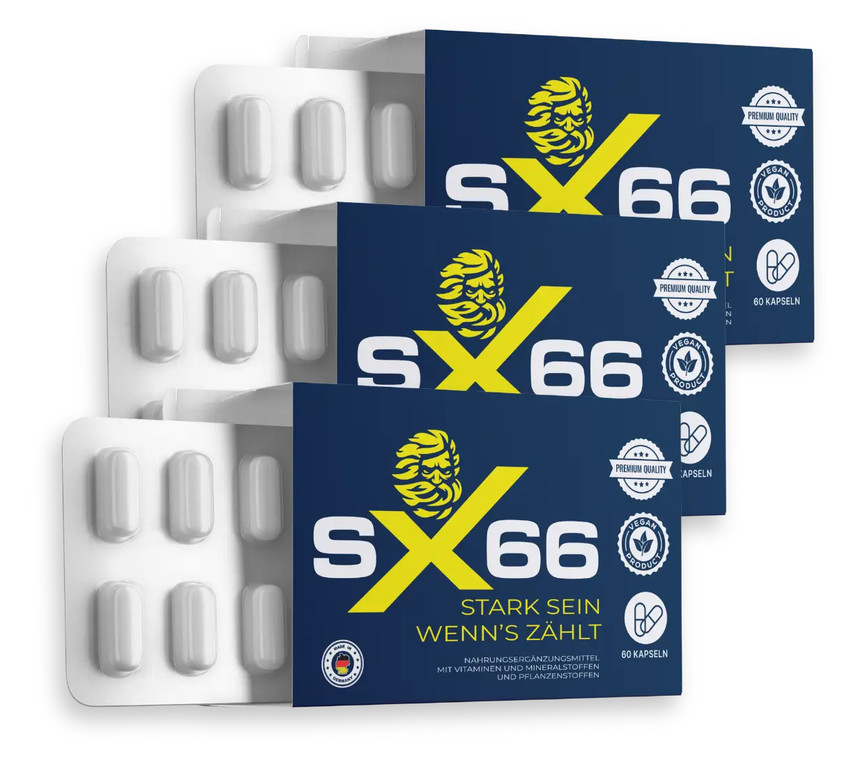 SX66 product